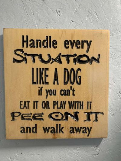 handle every situation like a dog